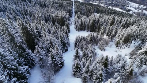 Aerial view of snowy pine trees landscape in French alps by winter Stock Footage 334150499