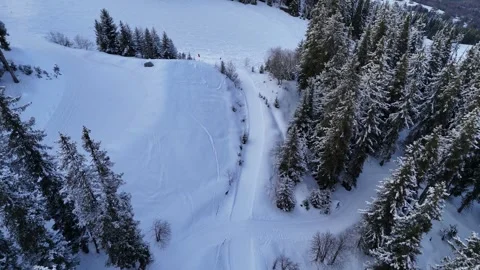 Aerial view of snowy pine trees landscape in French alps by winter Stock Footage 334150720