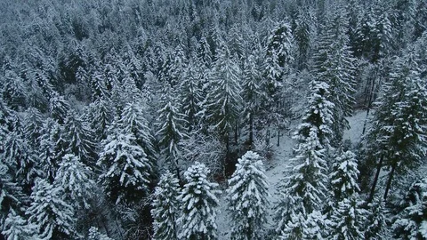 Aerial view of a snowy winter after snow storm Stock Footage 126705372