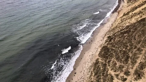 Aerial View Of Soaring Beach Cliff While Paragliding, Southern Sweden Stock Footage 117905487