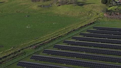 Aerial view of a solar farm generating clean renewable energy Stock Footage 341269327