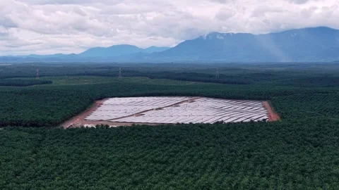 Aerial View Solar Panel Array Near Oil Palm Farm Video stock 329366310
