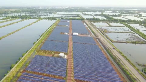 Aerial view of a solar panel farm generating renewable energy Stock Footage 312432947
