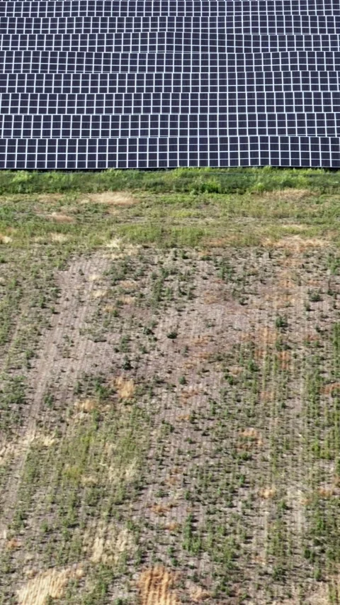 Aerial View Solar Panel Grid Array AI Green Energy Video stock 337006172