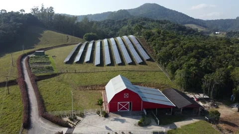 Aerial View of Solar Panels on a Ecological Farm. Electrical innovation natur Stock Footage 157190074