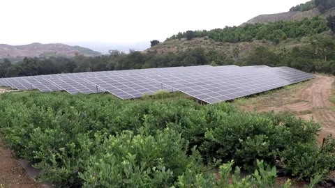 Aerial view of solar panels Stock Footage 71020445
