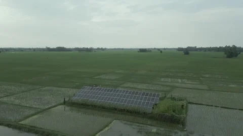 Aerial view of solar panels set up in green paddy fields for agricultural i.. Vídeo Stock 344998649