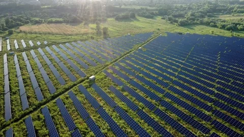 Aerial view of Solar Panels Stand At Sunrise. Flyover Fields Green Energy Stock Footage 169315284