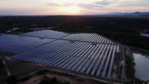 Aerial view of solar panels on sunset sky background. Stock Footage 246570682