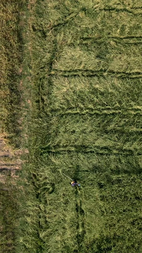 Aerial view of some fields with a man mowing the grass on the ground Stock Footage 265499847