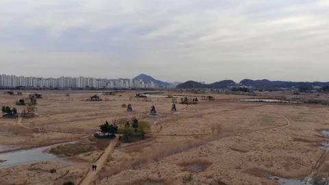 Aerial view at Sorae Marsh Ecological Park. Stock Footage 89462052