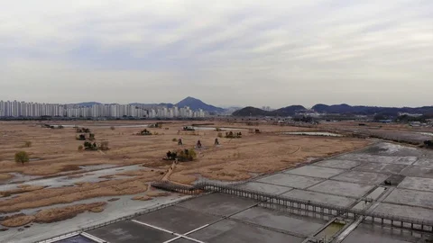 Aerial view at Sorae Marsh Ecological Park. Stock Footage 89462109