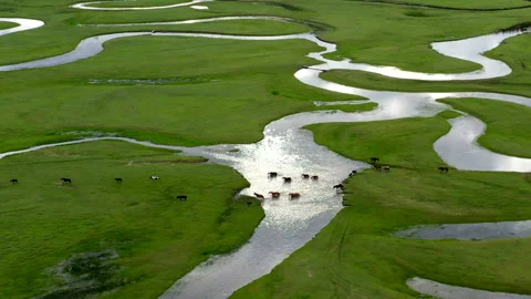 Aerial view of the source of Luanhe River and grassland Stock Footage 139261166