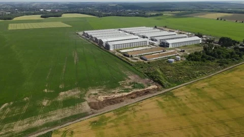 Aerial view of Sown Fields and Industry in Ukraine in the Morning, Forest Stock Footage 162620448