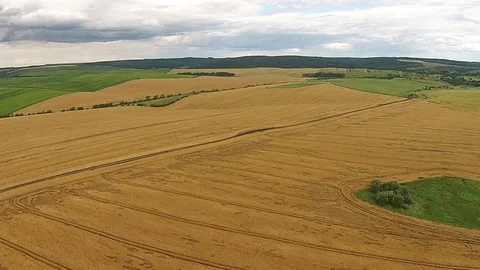Aerial view of the sown fields Stock Footage