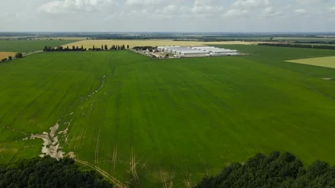 Aerial view of Sown Fields in Ukraine in the Morning, Horizon, Forest, Stock Footage 162620441