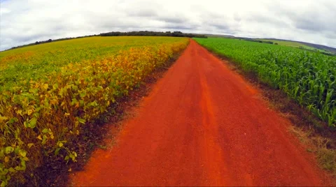 Aerial View from Soybean and Corn Plantation, Brazil Stock Footage 48502019