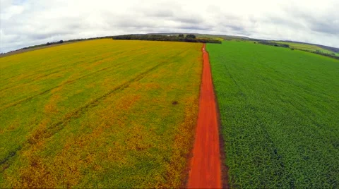 Aerial View from Soybean and Corn Plantation, Brazil Video stock 48502213