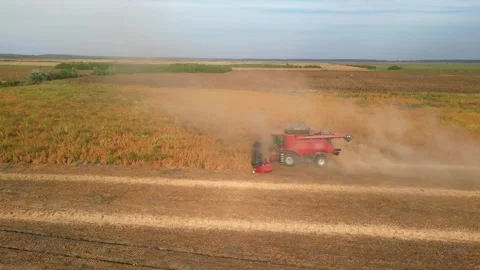 Aerial View Soybean Harvest Stock Footage 252184787