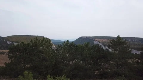 Aerial View: a span in the middle of a canyon, on one side of the cliff, on the Stock Footage 82680001