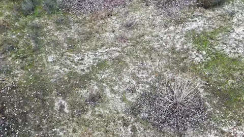 Aerial View of Sparse Vegetation and Bare Ground Vidéo 314262312