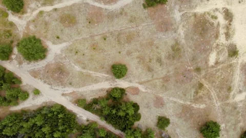 Aerial view of sparse vegetation and dirt roads in a dry, open landscape. Stock Footage 321755392