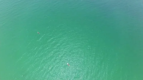 Aerial View of a Speedboat Passing Two Paddleboarders in the Open Ocean Stock Footage 76273979