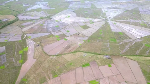Aerial View of Spiderweb Rice Fields in Massive Valley Stock Footage 338040928