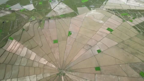 Aerial View of Spiderweb Rice Fields in Massive Valley 動画素材 341547168