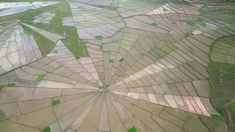 Aerial View of Spiderweb Rice Fields in Massive Valley Video stock 344087197
