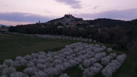 Aerial view of spring blossoms around Bonnieux rooftops in soft morning light Stock Footage 312063637