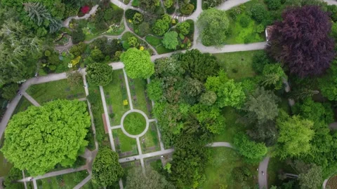 Aerial view of the spring botanical garden in Krakow (Poland) Stock Footage 277112922