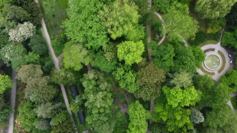 Aerial view of the spring botanical garden in Krakow (Poland) Stock Footage 277112959