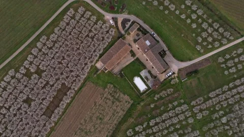 Aerial view of spring cherry trees and farm bathed in golden light, France Stock-Footage 312063775