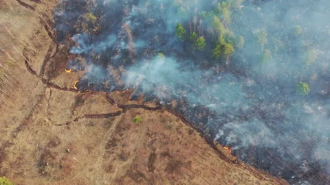 Aerial View. Spring Dry Grass Burns During Drought Hot Weather. Bush Fire And Stock Footage 134899234