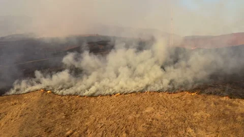 Aerial view of spring dry grass burning field. Fire and smoke in the meadow Stock Footage 174049872