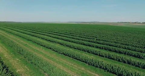 Aerial view of spring fields, backgropund 4k 動画素材 91595305