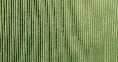 Aerial view of spring fields, backgropund 4k 스톡 동영상 91599072