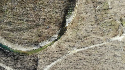 Aerial view of the spring forest. Flying over the forest. Stock Footage 124756469