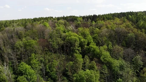 Aerial view of a spring forest. Stock Footage 107830792