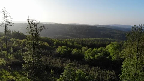 Aerial view of a spring forest. Stock Footage 108311565