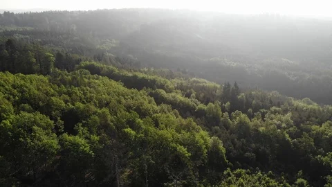 Aerial view of a spring forest. Video stock 108370553