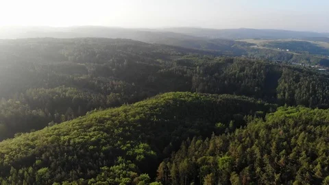 Aerial view of a spring forest. Video stock 108370594