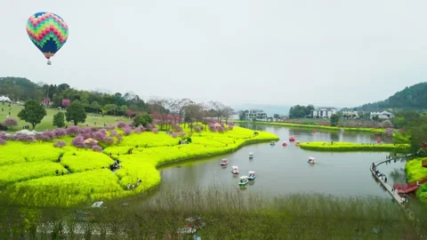 Aerial view of spring lake with rapeseed and cherry blossoms. Stock Footage 329923067
