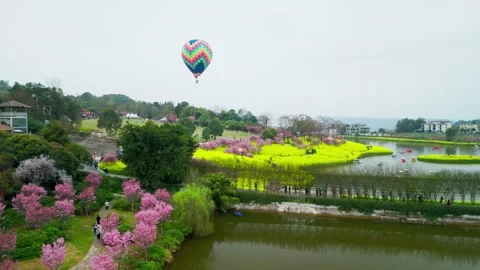 Aerial view of spring lake with rapeseed and cherry blossoms. Stock Footage 329923080