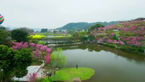 Aerial view of spring lake with rapeseed and cherry blossoms. Video stock 329923111