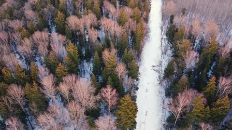 Aerial view of a spring snowy mixed forest Stock Footage 152037444