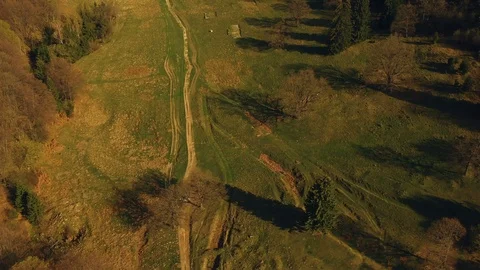 Aerial view of the springtime forest Stock Footage 88551899