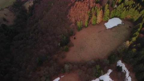 Aerial view of spruce and beech forest in spring in nice light, golden hour. Stock Footage 185670889