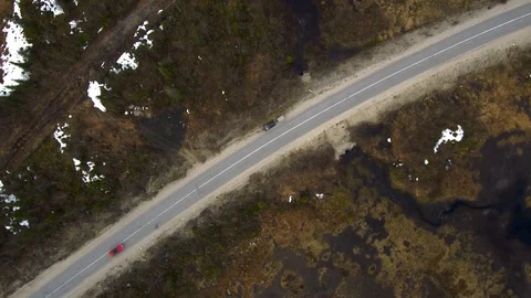 Aerial view of spruce forest and swamp in spring time. Stock Footage 104635013